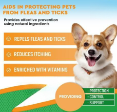 OEM Flea & Tick Support + Multivitamin Liquid for Dogs,MY SHOP,Supplement