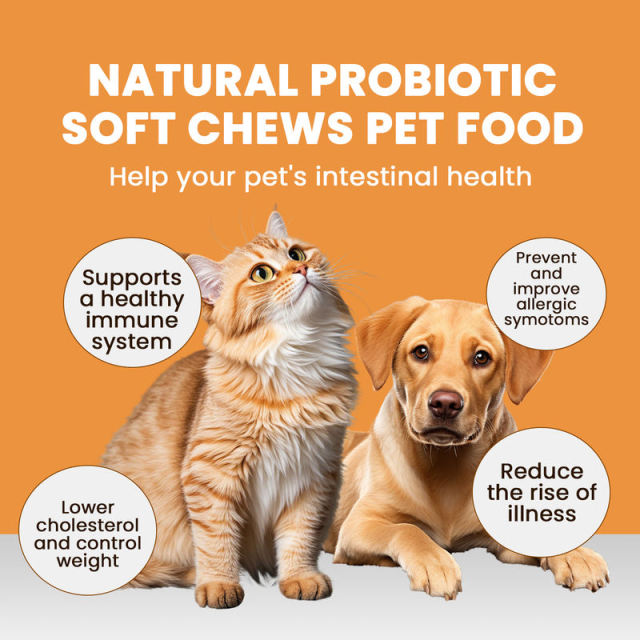 OEM Pet Joint Health Soft Chews,MY SHOP,OEM Pet Joint Health Soft Chews