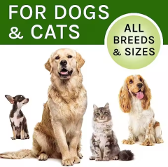 OEM Flea & Tick Support + Multivitamin Liquid for Dogs,MY SHOP,Supplement