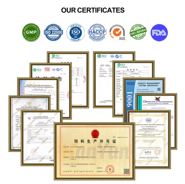 OEM Flea & Tick Support Chews for Dogs,MY SHOP,OEM Flea & Tick Support Chews for Dogs