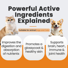 OEM Pet Joint Health Soft Chews,MY SHOP,OEM Pet Joint Health Soft Chews