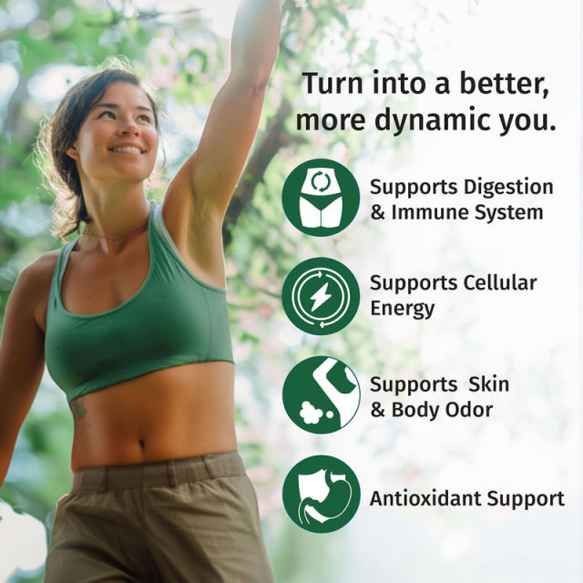 Custom Formulation 2X Potency Chlorophyll Drops with Spirulina & Chlorella drops,MY SHOP,Custom Formulation 2X Potency Chlorophyll Drops with Spirulina & Chlorella drops