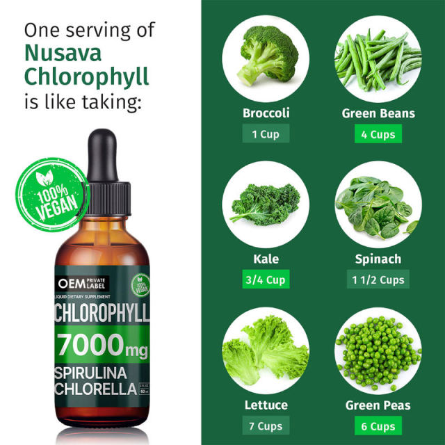 Custom Formulation 2X Potency Chlorophyll Drops with Spirulina & Chlorella drops,MY SHOP,Custom Formulation 2X Potency Chlorophyll Drops with Spirulina & Chlorella drops