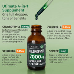 Custom Formulation 2X Potency Chlorophyll Drops with Spirulina & Chlorella drops,MY SHOP,Custom Formulation 2X Potency Chlorophyll Drops with Spirulina & Chlorella drops