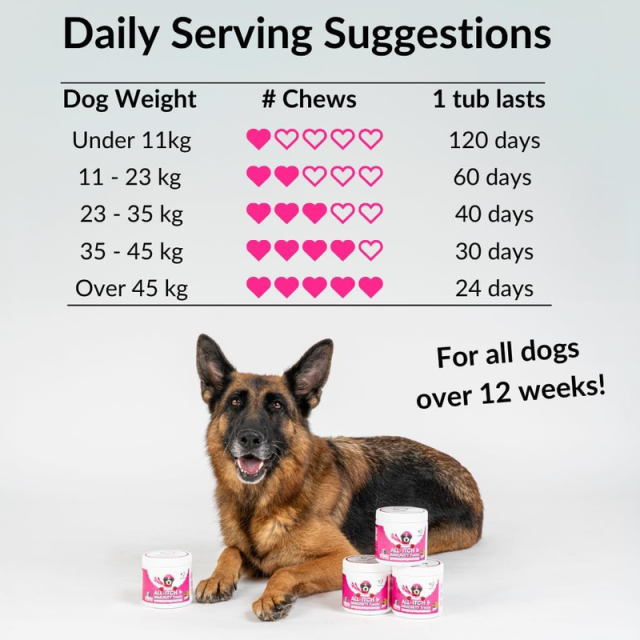 OEM Pet Multivitamin Tablets,MY SHOP,OEM Pet Multivitamin Tablets