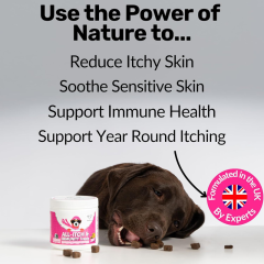 OEM Pet Multivitamin Tablets,MY SHOP,OEM Pet Multivitamin Tablets