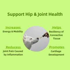 OEM/ODM Pet Hip & Joint Supplement Vitamin D3,MY SHOP,OEM/ODM Pet Hip & Joint Supplement Vitamin D3