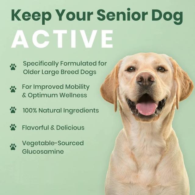OEM/ODM Pet Hip & Joint Supplement Vitamin D3,MY SHOP,OEM/ODM Pet Hip & Joint Supplement Vitamin D3