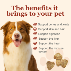 OEM Pet Hip & Joint Chews,MY SHOP,OEM Pet Hip & Joint Chews