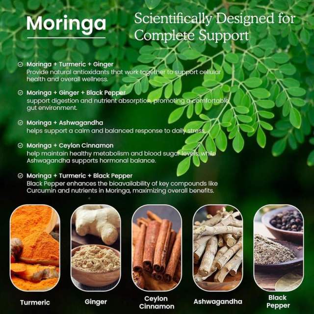 OEM/ODM Moringa Turmeric Liquid Drops Organic Vegan Formula,MY SHOP,OEM/ODM Moringa Turmeric Liquid Drops Organic Vegan Formula