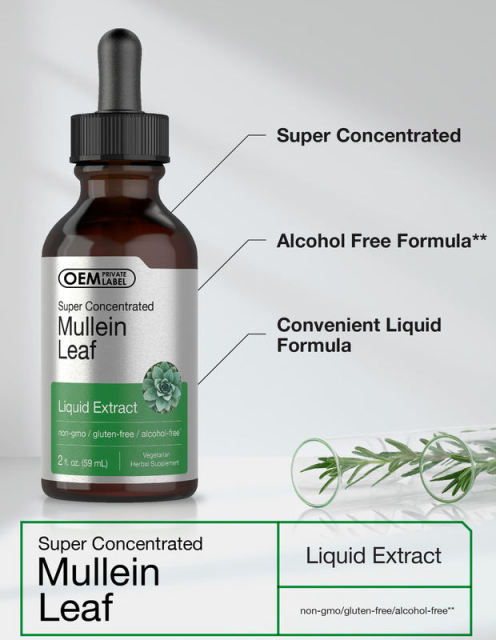 Bulk Mullein Leaf Extract Drops Vegetarian Alcohol Free Formula White Label,MY SHOP,Bulk Mullein Leaf Extract Drops Vegetarian Alcohol Free Formula White Label