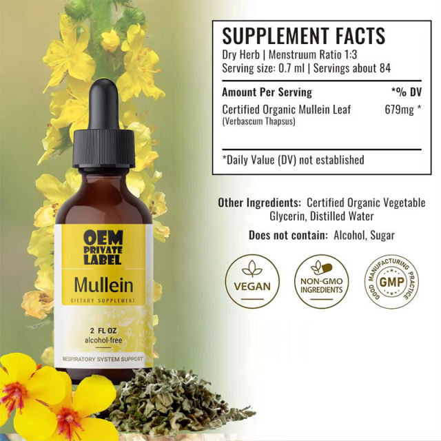 Wholesale Vegan Mullein Leaf Extract Drops Organic Alcohol Free OEM,MY SHOP,Wholesale Vegan Mullein Leaf Extract Drops Organic Alcohol Free OEM
