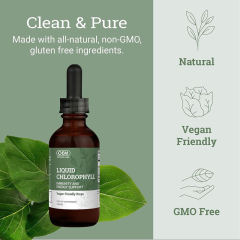 Bulk Liquid Chlorophyll Drops with Peppermint Oil Vegan Formula White Label,MY SHOP,Bulk Liquid Chlorophyll Drops with Peppermint Oil Vegan Formula White Label