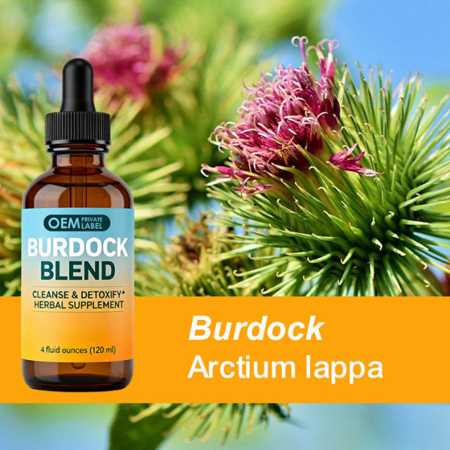 Wholesale Herbal Cleanse Drops Burdock Blend Liquid Extract OEM 4 fl oz,MY SHOP,Wholesale Herbal Cleanse Drops Burdock Blend Liquid Extract OEM 4 fl oz
