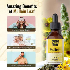 Wholesale Vegan Mullein Leaf Extract Drops Organic Alcohol Free OEM,MY SHOP,Wholesale Vegan Mullein Leaf Extract Drops Organic Alcohol Free OEM
