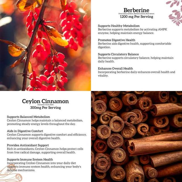 Private Label Berberine Ceylon Cinnamon Drops Heart Health Digestive Support,MY SHOP,Private Label Berberine Ceylon Cinnamon Drops Heart Health Digestive Support