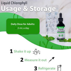 Liquid Chlorophyll Drops Internal Deodorant Antioxidant Fresh Mint Flavor,MY SHOP,Liquid Chlorophyll Drops Internal Deodorant Antioxidant Fresh Mint Flavor