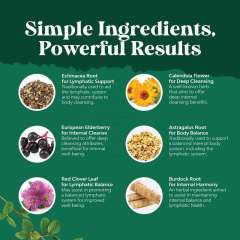 OEM/ODM Organic Lymphatic Support Liquid Drops Non-GMO Vegan,MY SHOP,OEM/ODM Organic Lymphatic Support Liquid Drops Non-GMO Vegan