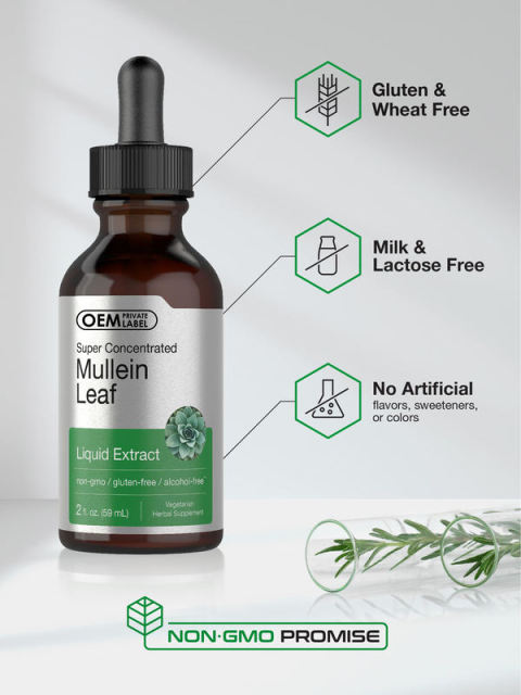 Bulk Mullein Leaf Extract Drops Vegetarian Alcohol Free Formula White Label,MY SHOP,Bulk Mullein Leaf Extract Drops Vegetarian Alcohol Free Formula White Label