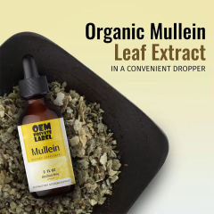 Wholesale Vegan Mullein Leaf Extract Drops Organic Alcohol Free OEM,MY SHOP,Wholesale Vegan Mullein Leaf Extract Drops Organic Alcohol Free OEM