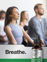 Bulk Mullein Leaf Extract Drops Vegetarian Alcohol Free Formula White Label,MY SHOP,Bulk Mullein Leaf Extract Drops Vegetarian Alcohol Free Formula White Label