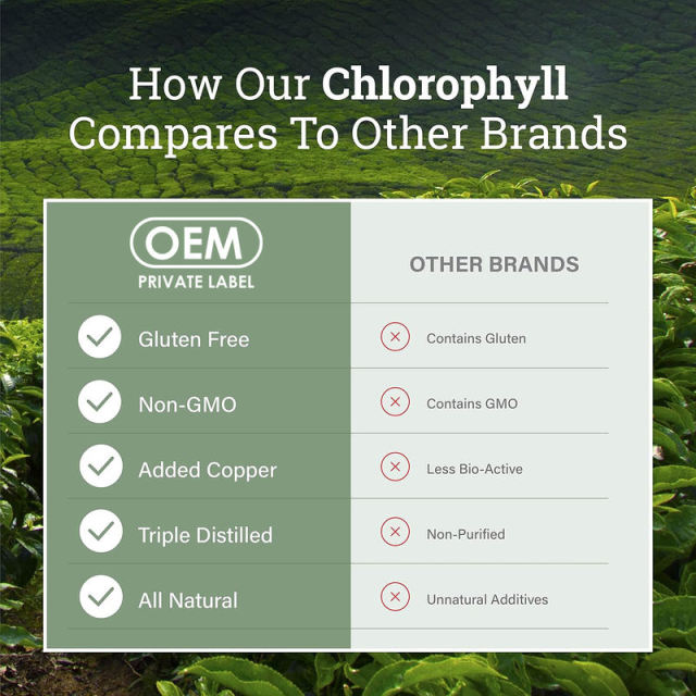 Bulk Liquid Chlorophyll Drops with Peppermint Oil Vegan Formula White Label,MY SHOP,Bulk Liquid Chlorophyll Drops with Peppermint Oil Vegan Formula White Label