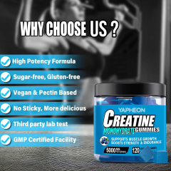 5000mg Creatine Monohydrate Muscle Growth & Strength Gummies,MY SHOP,5000mg Creatine Monohydrate Gummies - OEM Functional Gummies