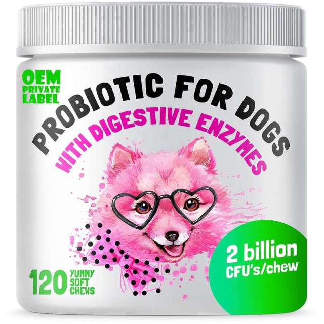 OEM Advanced Probiotic Soft Chews for Pets,MY SHOP,OEM Advanced Probiotic Soft Chews for Pets