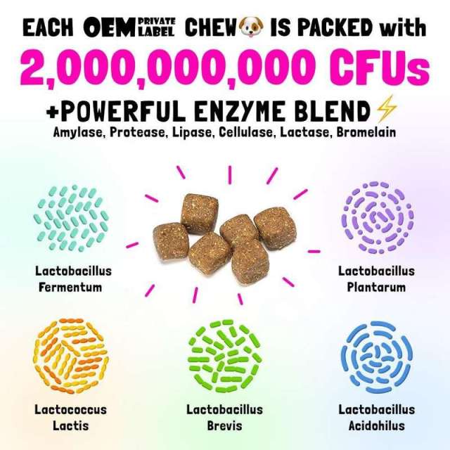 OEM Advanced Probiotic Soft Chews for Pets,MY SHOP,OEM Advanced Probiotic Soft Chews for Pets