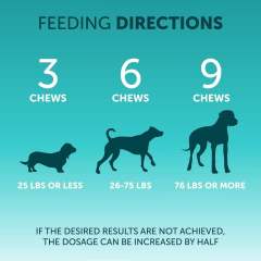 OEM No-Poo Probiotic Dog Treats,MY SHOP,OEM No-Poo Probiotic Dog Treats