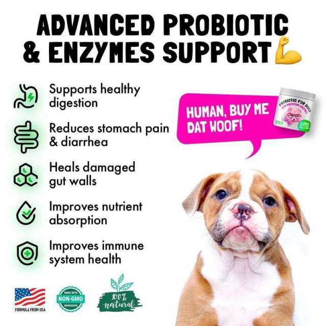 OEM Advanced Probiotic Soft Chews for Pets,MY SHOP,OEM Advanced Probiotic Soft Chews for Pets