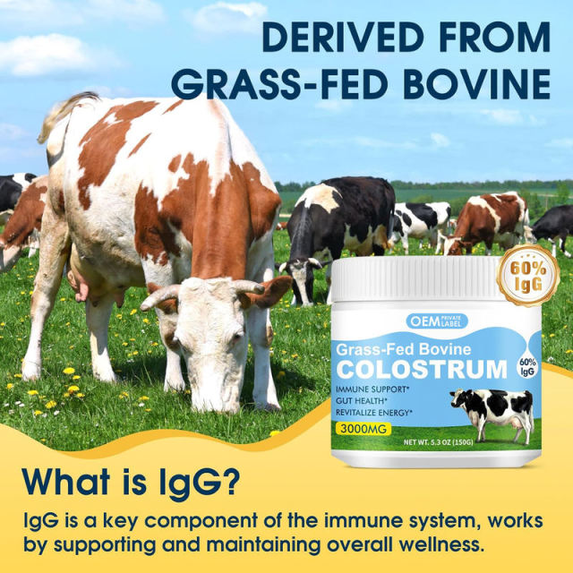 Wholesale Grass Fed Colostrum Powder 3000mg Energy Revitalization OEM,MY SHOP,Wholesale Grass Fed Colostrum Powder 3000mg Energy Revitalization OEM