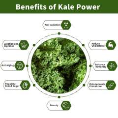 Private Label Kale Powder Superfood Detox Bone Health Anti Aging,MY SHOP,Private Label Kale Powder Superfood Detox Bone Health Anti Aging