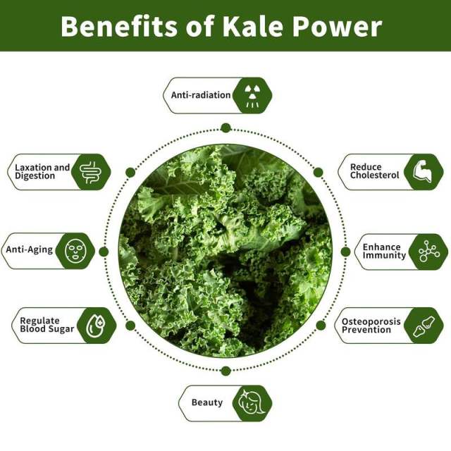 Private Label Kale Powder Superfood Detox Bone Health Anti Aging,MY SHOP,Private Label Kale Powder Superfood Detox Bone Health Anti Aging