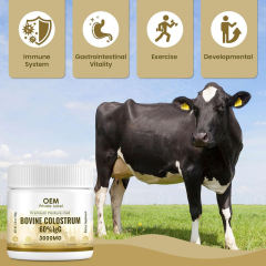 Private Label Premium Pasture-Fed Bovine Colostrum Powder 60% IgG,MY SHOP,Private Label Premium Pasture-Fed Bovine Colostrum Powder 60% IgG
