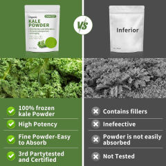 Private Label Kale Powder Superfood Detox Bone Health Anti Aging,MY SHOP,Private Label Kale Powder Superfood Detox Bone Health Anti Aging