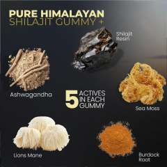 Himalayan Shilajit Ashwagandha Multi-Benefit Gummies,MY SHOP,Ashwagandha Gummies - OEM Shilajit Multi-Benefit Bulk Supply