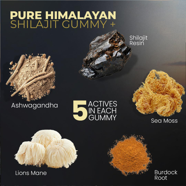 Himalayan Shilajit Ashwagandha Multi-Benefit Gummies,MY SHOP,Ashwagandha Gummies - OEM Shilajit Multi-Benefit Bulk Supply