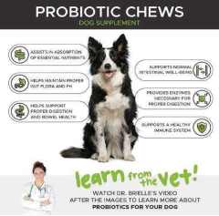 Private Label Probiotic Chews 6B CFU Pumpkin Superfood Base,MY SHOP,Private Label Probiotic Chews 6B CFU Pumpkin Superfood Base