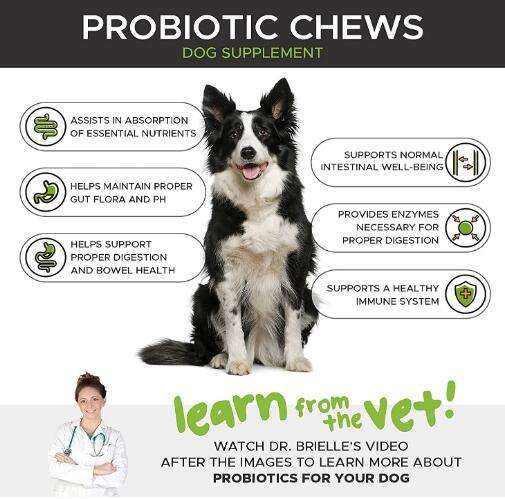 Private Label Probiotic Chews 6B CFU Pumpkin Superfood Base,MY SHOP,Private Label Probiotic Chews 6B CFU Pumpkin Superfood Base