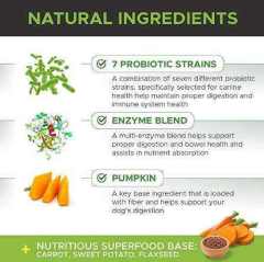 Private Label Probiotic Chews 6B CFU Pumpkin Superfood Base,MY SHOP,Private Label Probiotic Chews 6B CFU Pumpkin Superfood Base