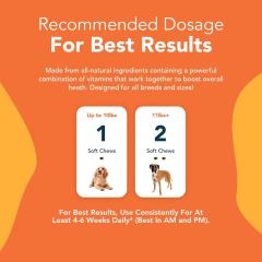 Private Label Multivitamin Chews for Adult Dogs Nose to Tail Support,MY SHOP,Private Label Multivitamin Chews for Adult Dogs Nose to Tail Support