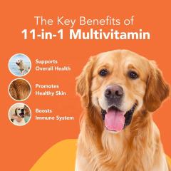 Private Label Multivitamin Chews for Adult Dogs Nose to Tail Support,MY SHOP,Private Label Multivitamin Chews for Adult Dogs Nose to Tail Support