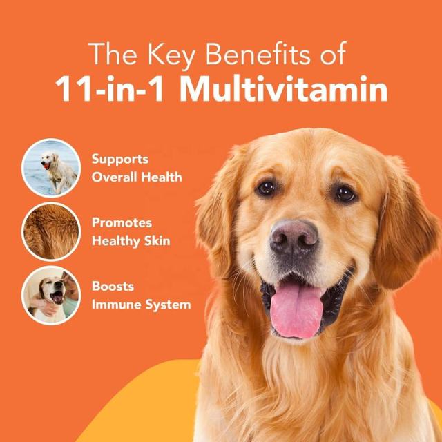 Private Label Multivitamin Chews for Adult Dogs Nose to Tail Support,MY SHOP,Private Label Multivitamin Chews for Adult Dogs Nose to Tail Support