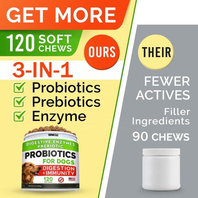 Private Label Dog Probiotics Supplement 5 Strain Blend Prebiotic Enzyme Formula,MY SHOP,Private Label Dog Probiotics Supplement 5 Strain Blend Prebiotic Enzyme Formula