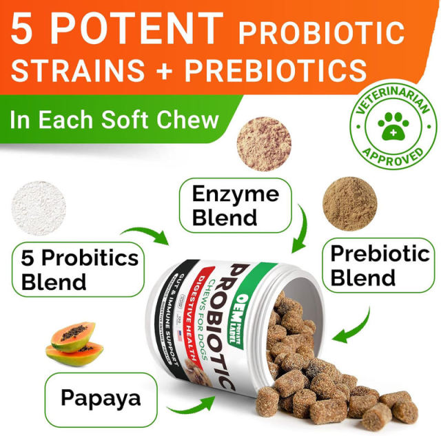 Probiotic Chews for Dogs Digestive Health 5 Strains Prebiotics Enzymes 120ct,MY SHOP,Probiotic Chews for Dogs Digestive Health 5 Strains Prebiotics Enzymes 120ct