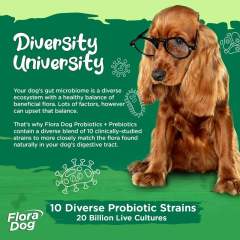 Private Label Dog Probiotic Powder 10 Raw Probiotic Strains Organic Prebiotics,MY SHOP,Private Label Dog Probiotic Powder 10 Raw Probiotic Strains Organic Prebiotics