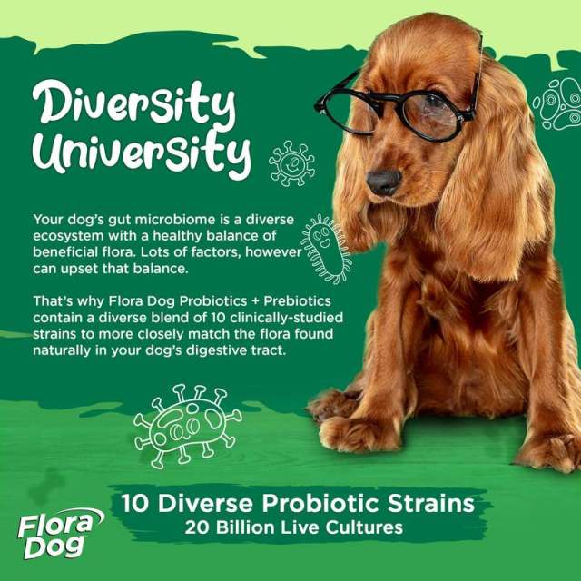 Private Label Dog Probiotic Powder 10 Raw Probiotic Strains Organic Prebiotics,MY SHOP,Private Label Dog Probiotic Powder 10 Raw Probiotic Strains Organic Prebiotics