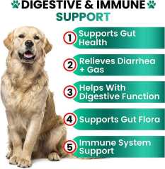 Private Label Dog Probiotic Chews Chicken Flavor 6 Probiotics Digestive Enzymes,MY SHOP,Private Label Dog Probiotic Chews Chicken Flavor 6 Probiotics Digestive Enzymes