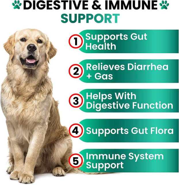 Private Label Dog Probiotic Chews Chicken Flavor 6 Probiotics Digestive Enzymes,MY SHOP,Private Label Dog Probiotic Chews Chicken Flavor 6 Probiotics Digestive Enzymes